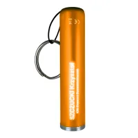 Torch Keyring with Light Up Logo view 4