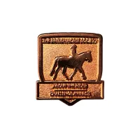 Metal Relief Badges view 3