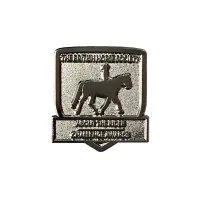 Metal Relief Badges view 4