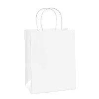 Kraft Bags view 9