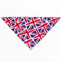 Dog Bandana view 2