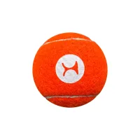 Dog Tennis Ball view 1