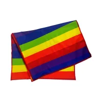 Pride Rainbow Neck Scarf view 1