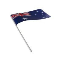 Hand Waving Flag view 2