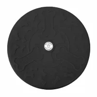 Pet Frisbee view 2