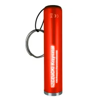 Torch Keyring with Light Up Logo view 5